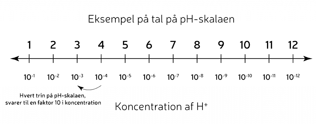 Eksempel på tal på pH-skalaen. Hvert trin svarer til en faktor 10 i koncentration.